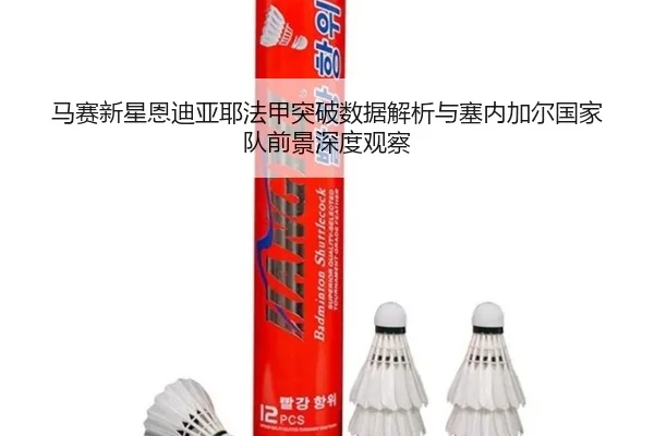 马赛新星恩迪亚耶法甲突破数据解析与塞内加尔国家队前景深度观察